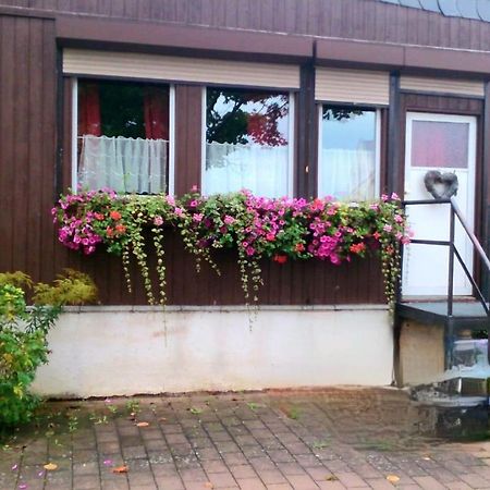 Ferienwohnung Halle/Lettin Halle  Dış mekan fotoğraf